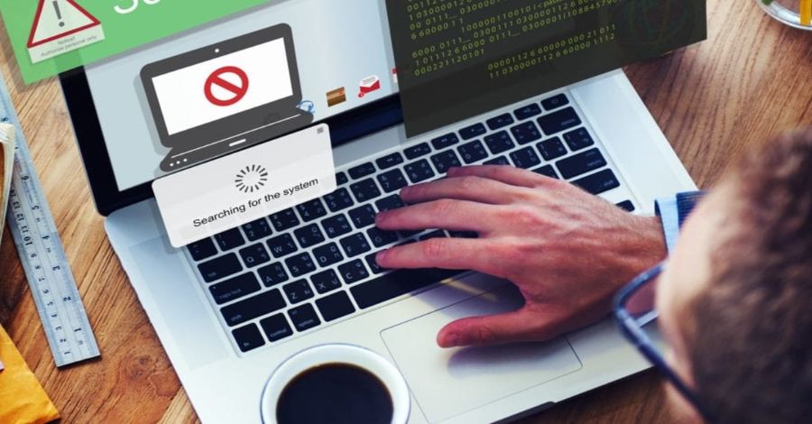 Tại sao bạn muốn tham gia một cuộc thi đá gà cấp độ Betvip? - Betvip