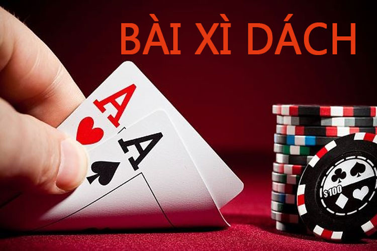Giới thiệu về gà chọi Betvip - Betvip